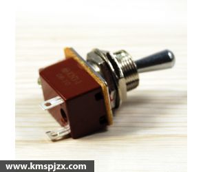 跳動式開關104215